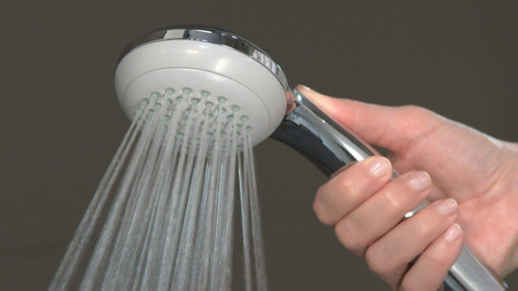 Ручной душ Hansgrohe Crometta 28585000