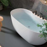 Ванна акриловая отдельностоящая Aquatek AQ-1155778
