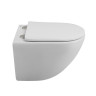 Сиденье дюропластовое с быстросъёмными петлями, механизмом Soft Close BelBagno BB901SC